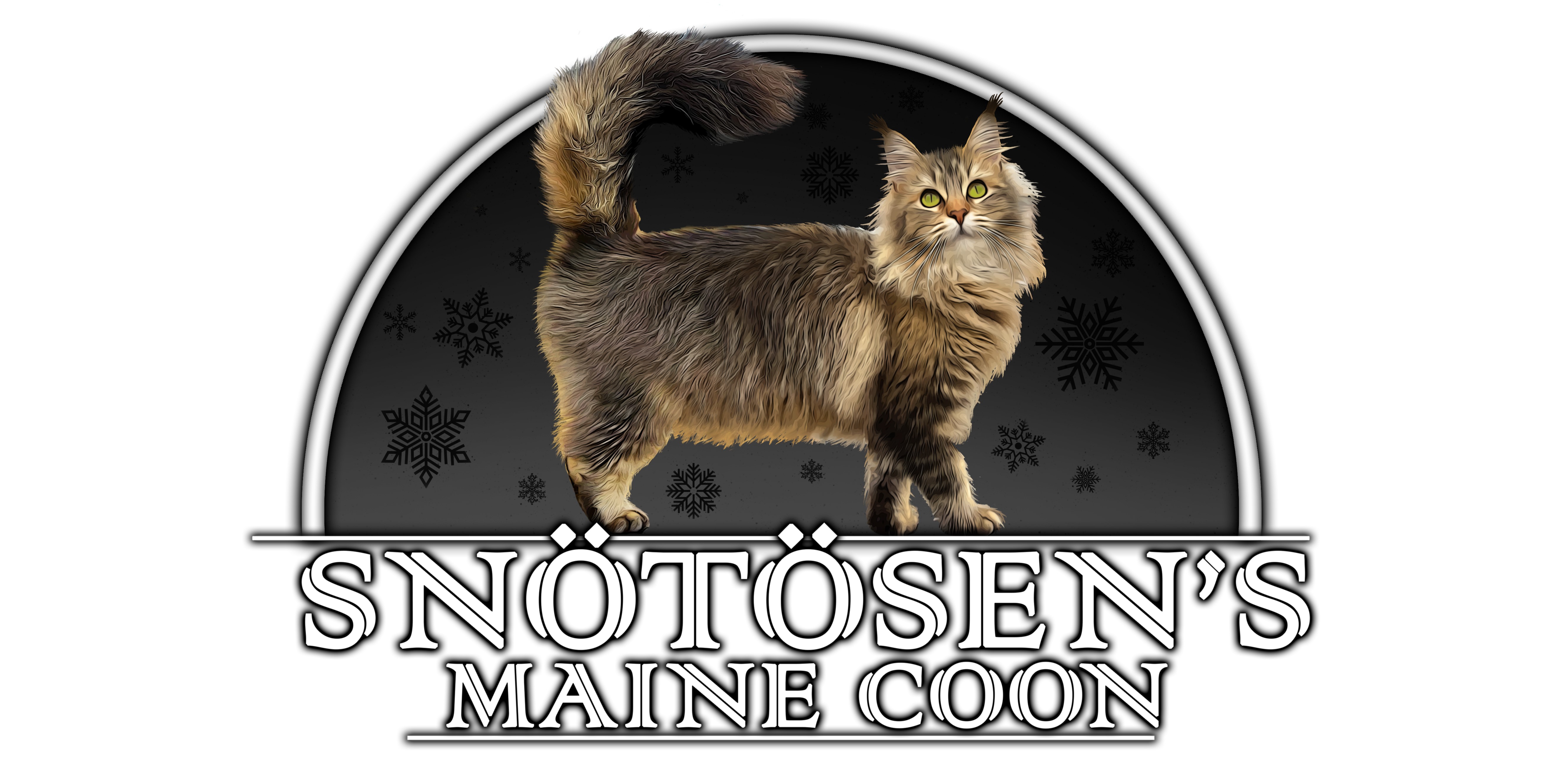 Banner Snötösen